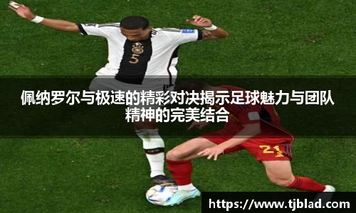 江南app.体育